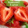 Саженцы земляники Фестивальная (Средняя) - 5 шт.: фото и описание